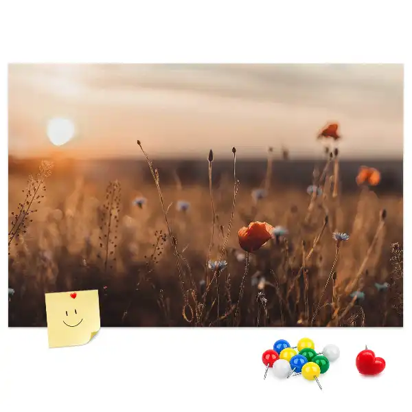Korková nástěnka Východ slunce