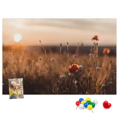 Korková nástěnka Východ slunce