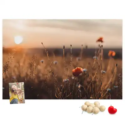 Korková tabule Východ slunce na poli