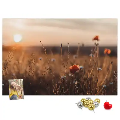 Korková nástěnka Východ slunce