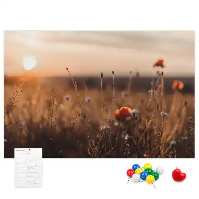 Korková nástěnka Východ slunce