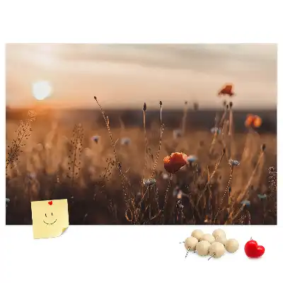 Korková nástěnka Východ slunce