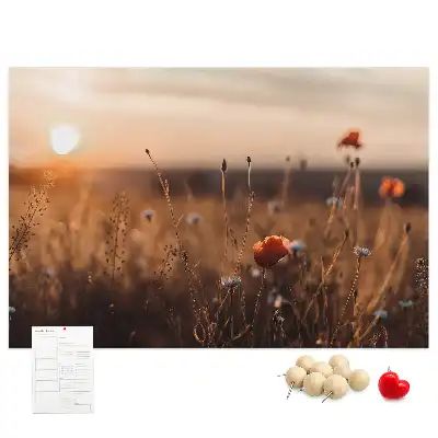 Korková nástěnka Východ slunce