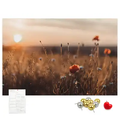 Korková tabule Východ slunce na poli
