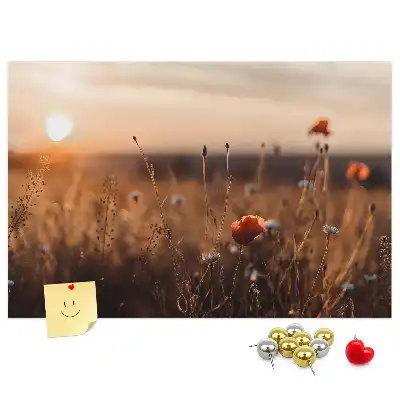 Korková tabule Východ slunce na poli