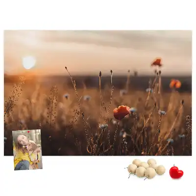 Korková tabule Východ slunce na poli
