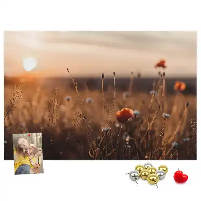 Korková tabule Východ slunce na poli