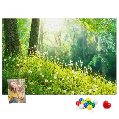 Nástěnka do dětského pokoje Jarní příroda