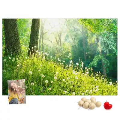 Nástěnka do dětského pokoje Jarní příroda