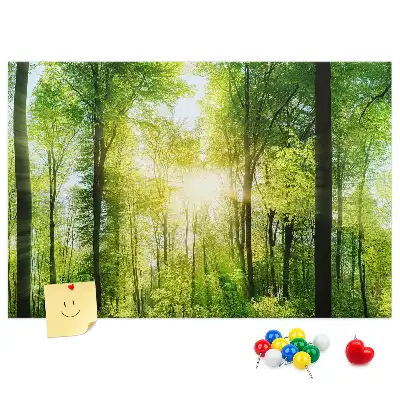Korková tabule Přírodní lesní stromy