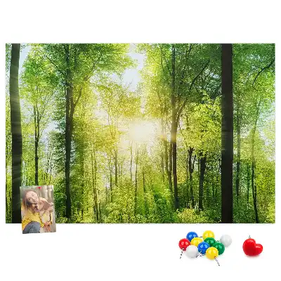 Korková nástěnka s motivem lesa se stromy