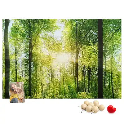 Korková tabule Přírodní lesní stromy