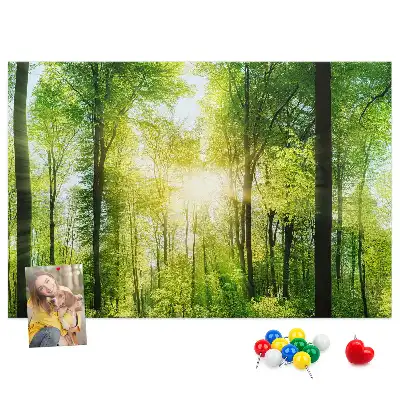 Korková nástěnka s motivem lesa se stromy