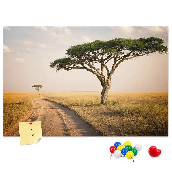 Korková nástěnka Krajina Afriky