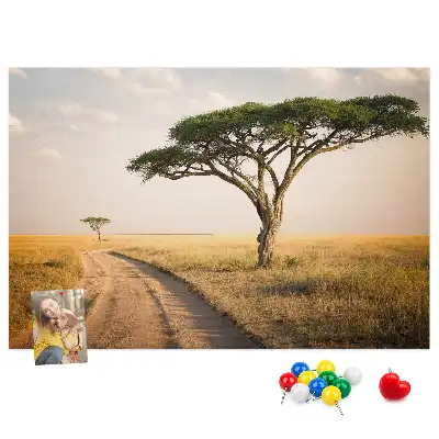 Nástěnka korková Africká krajina