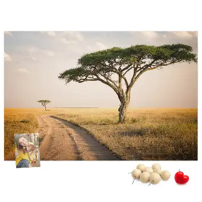 Nástěnka korková Africká krajina