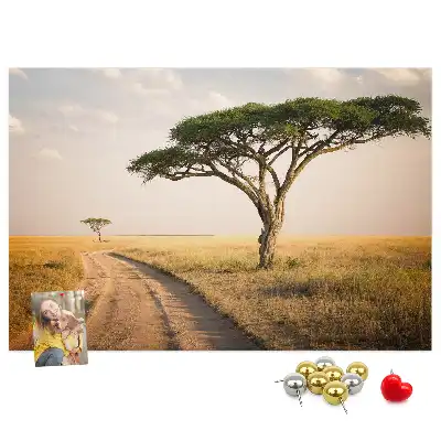 Nástěnka korková Africká krajina
