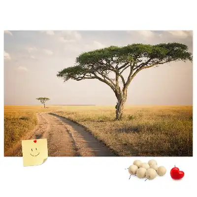 Korková nástěnka Krajina Afriky