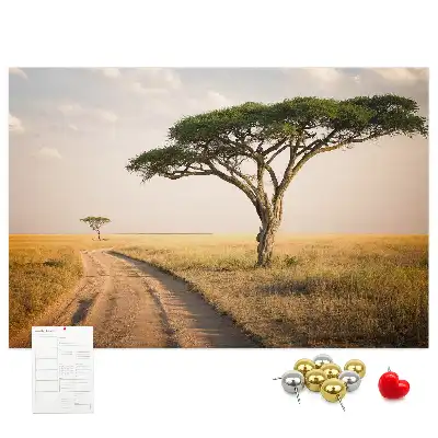 Nástěnka korková Africká krajina