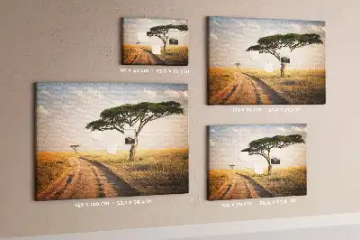 Korková nástěnka Krajina Afriky