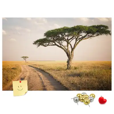 Nástěnka korková Africká krajina