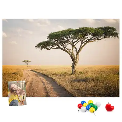 Korková nástěnka Krajina Afriky