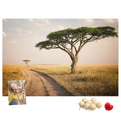 Nástěnka korková Africká krajina