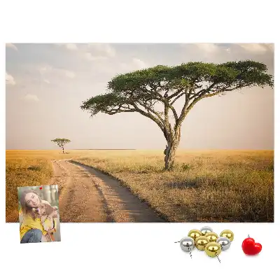 Nástěnka korková Africká krajina