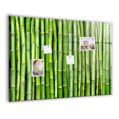 Magnetická tabule Bambusová stěna