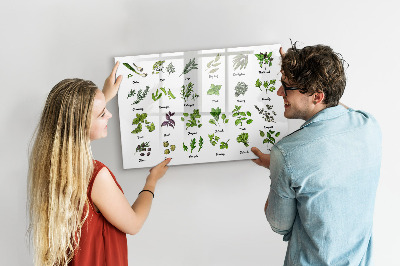 Magnetická kreslící tabule pro děti Druhy stromů