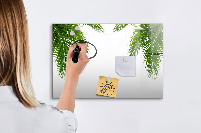 Magnetická psací tabule Příroda s palmovými listy