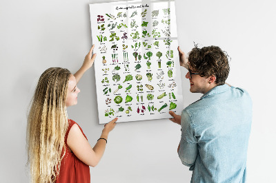 Magnetická psací tabule Zelená zelenina