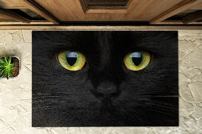 Rohožka před dveře venkovní Kočičí oči