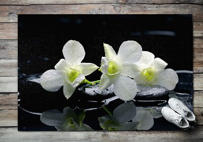 Rohožka před dveře venkovní Orchideje