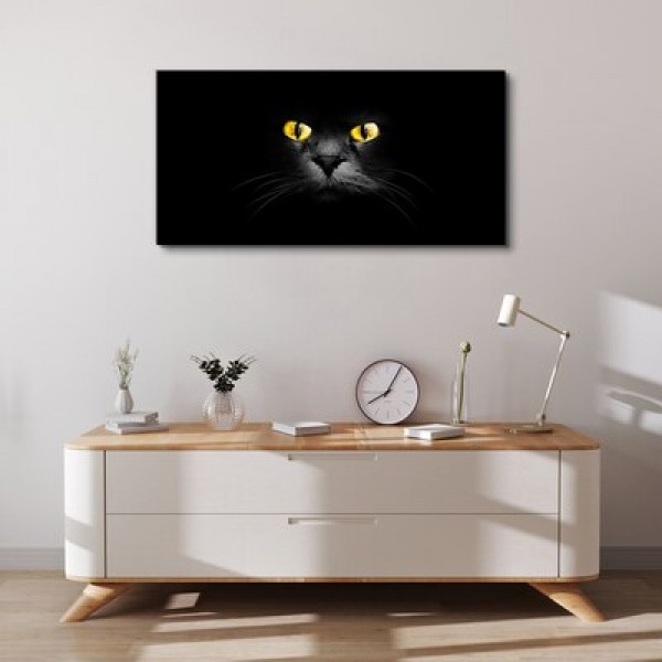 Obrazy na plátně s kočkami 