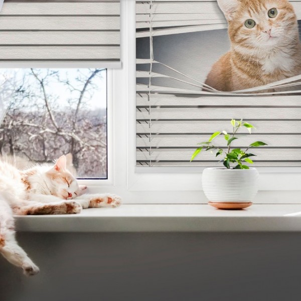 Kvalitní okenní rolety pro váš domov 